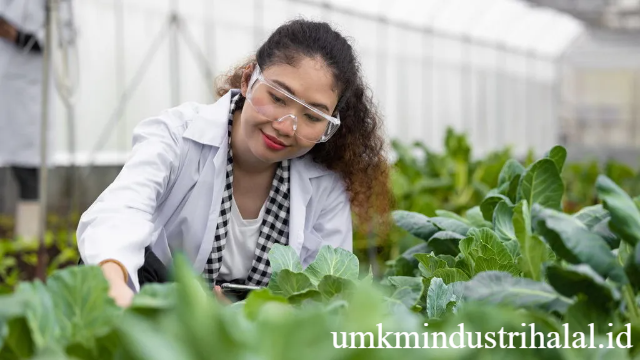 Prospek dan Keunggulan Jurusan Agronomi